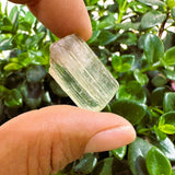 Μεγάλο (1,19 λίβρες) Μωβ Flash Labradorite Freeform (Είδος #0077)