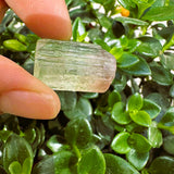 Μεγάλο (1,19 λίβρες) Μωβ Flash Labradorite Freeform (Είδος #0077)