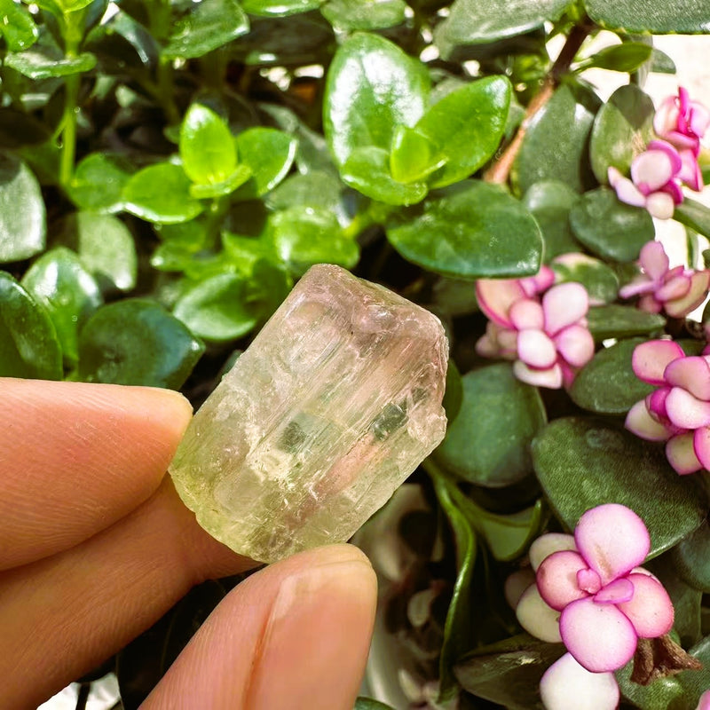 Μεγάλο (1,19 λίβρες) Μωβ Flash Labradorite Freeform (Είδος #0077)