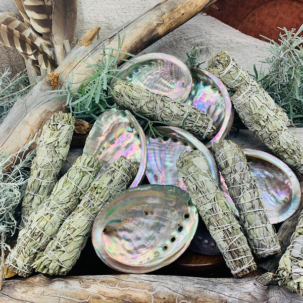 Φασκόμηλο & Κοχύλια