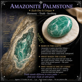 60 % popusta na Amazonite Palmstone samo 1 dan
