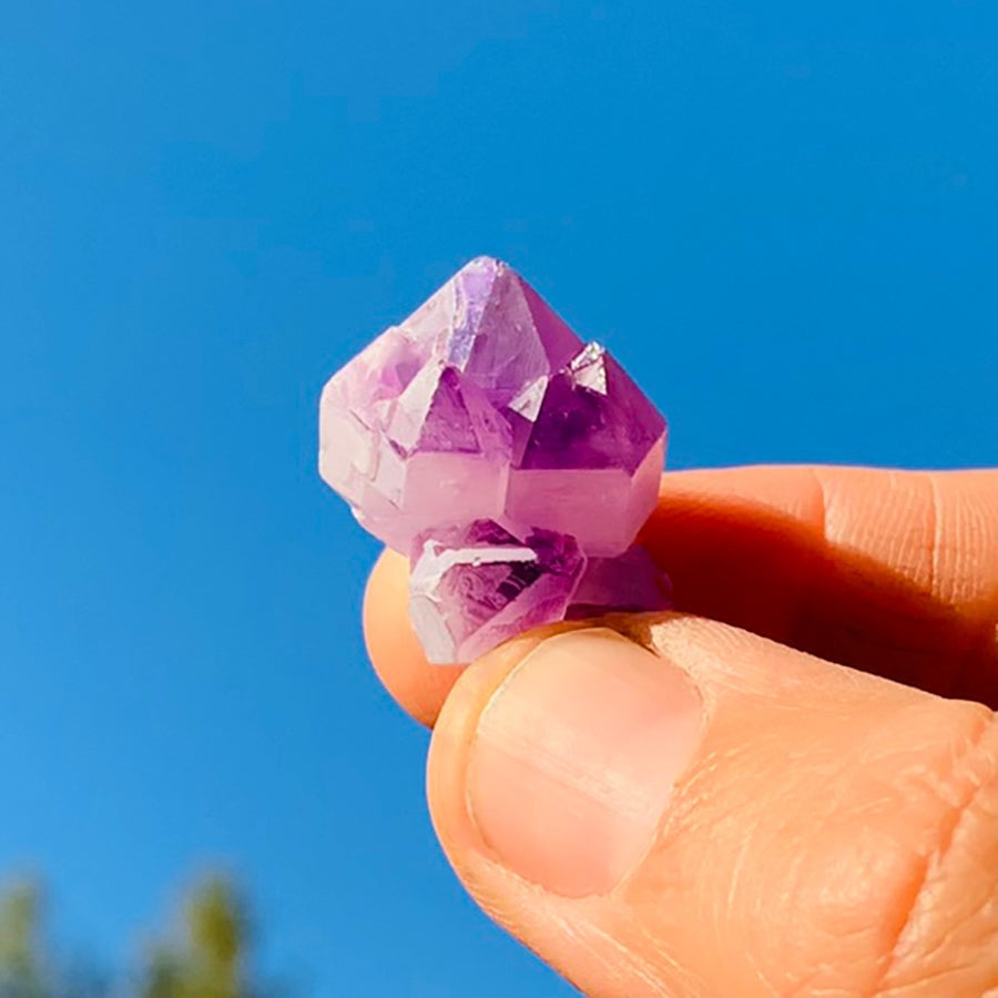 A small amethyst fairy cluster held between finger and thumb against a blue sky