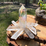 8-delad Angel Aura Point + Quartz Shards Set