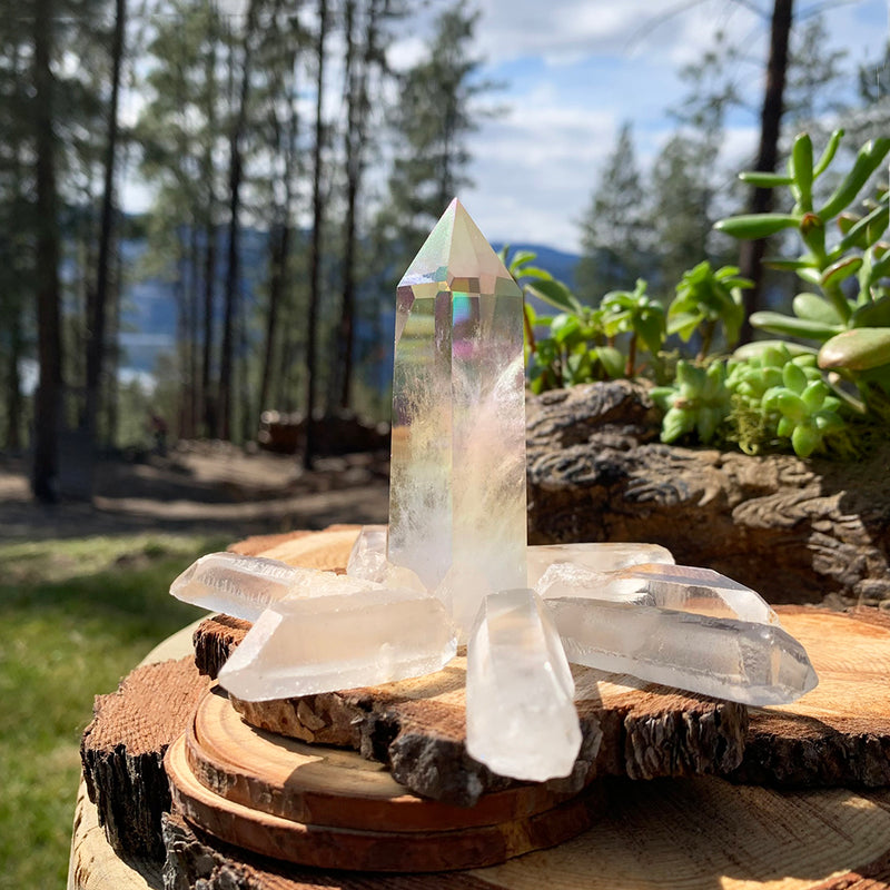 8-delad Angel Aura Point + Quartz Shards Set