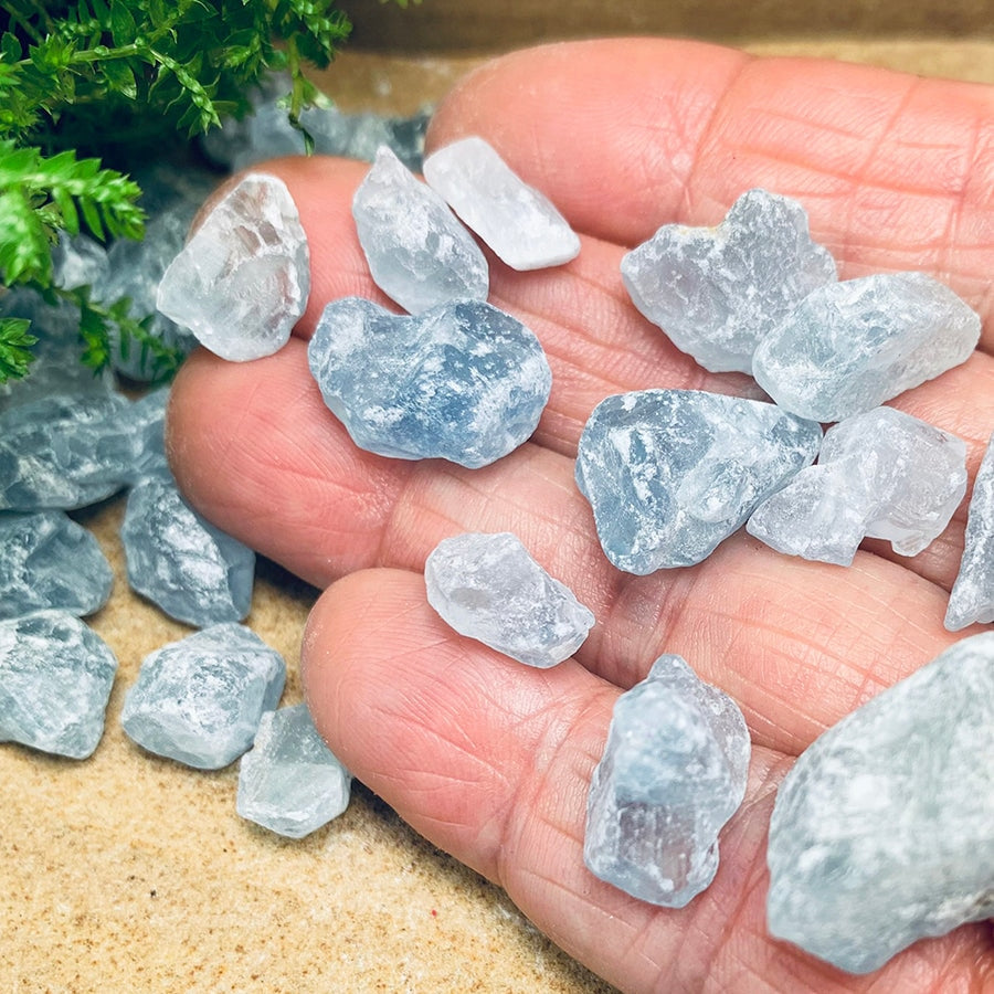 Small rough pale blue celestite stones resting on an open hand