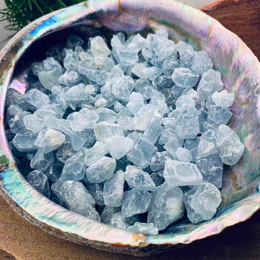 A full lot of rough celestite stones filling an iridescent abalone shell