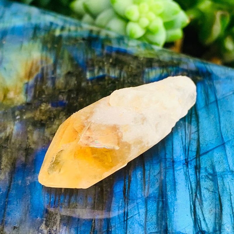 Citrine Shards (Small)