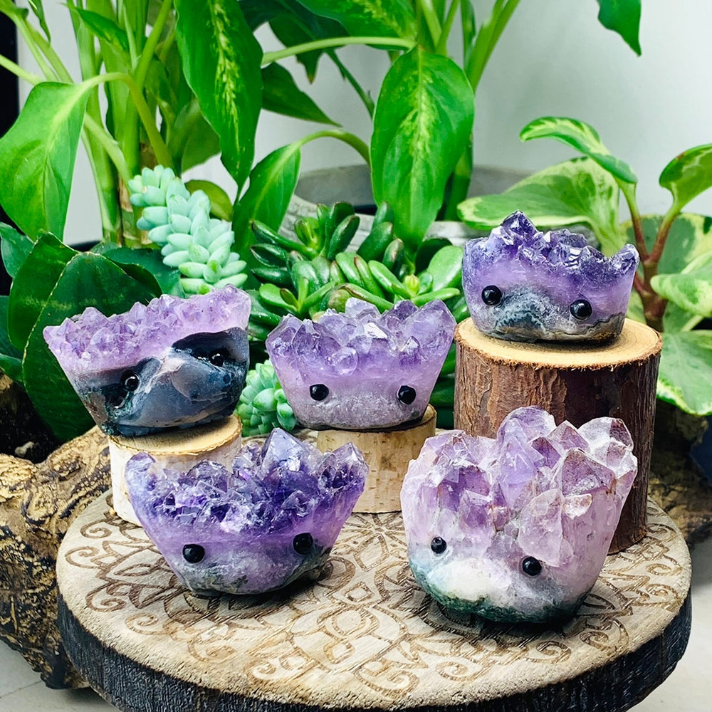 Five amethyst hedgehogs in different shades of purple displayed on wooden stands among houseplants