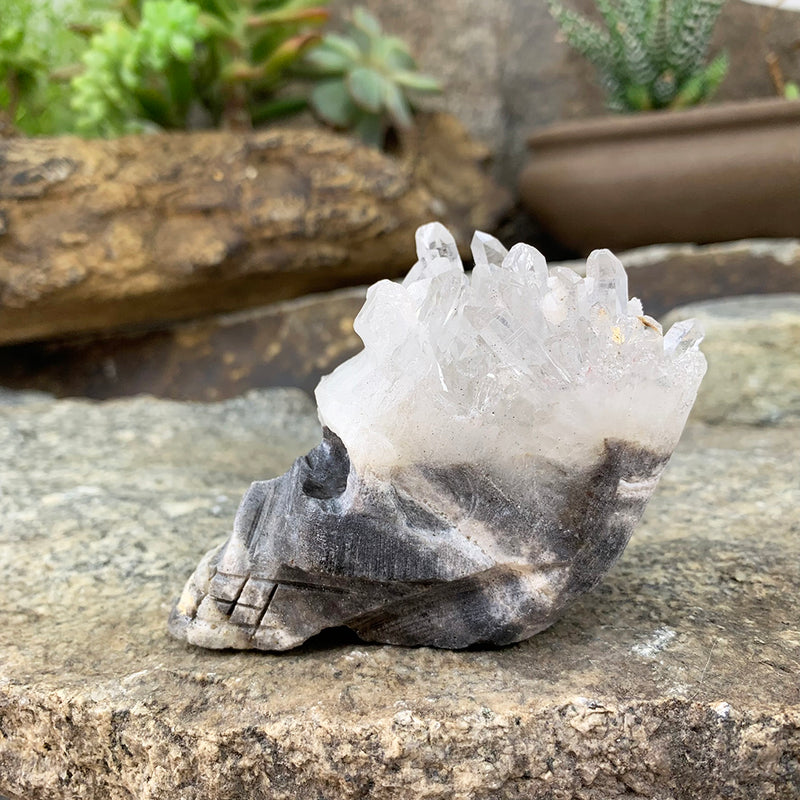 Crystal Shard Skull