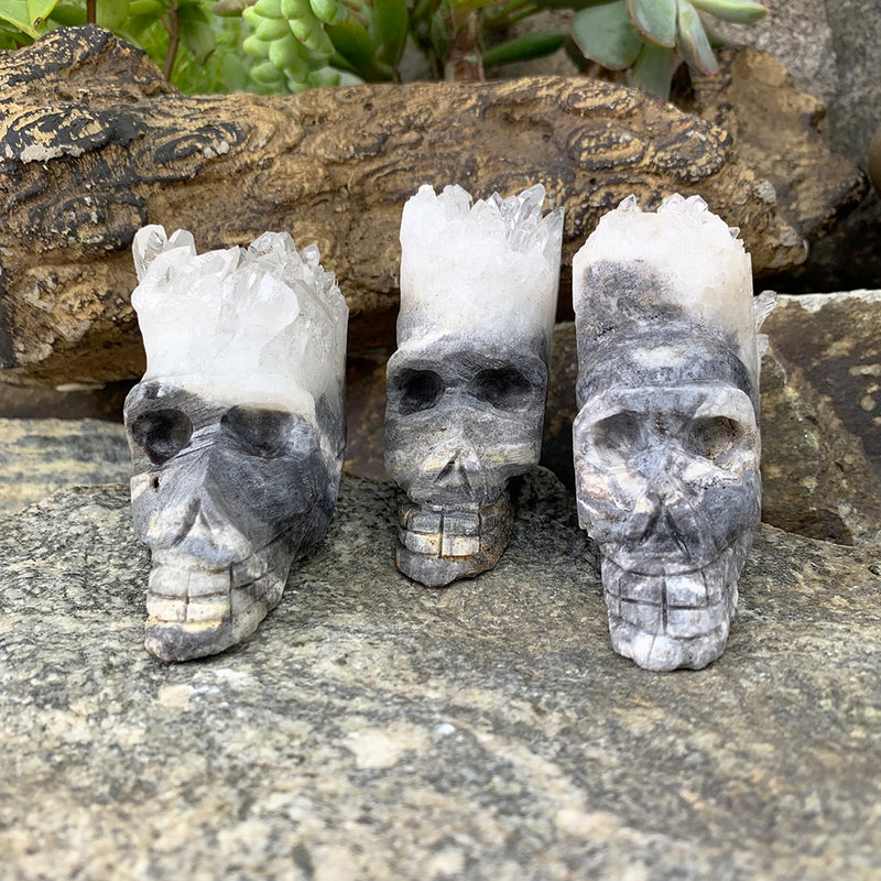 Crystal Shard Skull