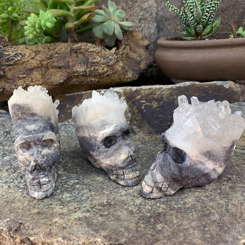 Crystal Shard Skull