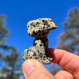 🐶 Paws & Peace Holiday Duo 🐈