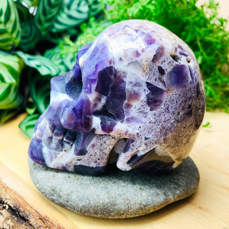 Dream Amethyst Skull (Medium Size)