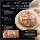 Cherry FlowerBlossom Agate Palmstone