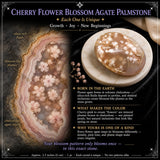 Cherry FlowerBlossom Agate Palmstone