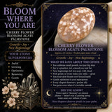 Cherry FlowerBlossom Agate Palmstone