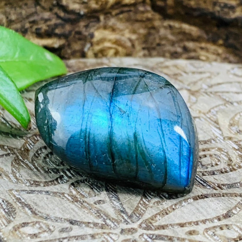 Crystal Allies Kit - 8 Powerful Specimens (SAVE 60% Bundle Deal)