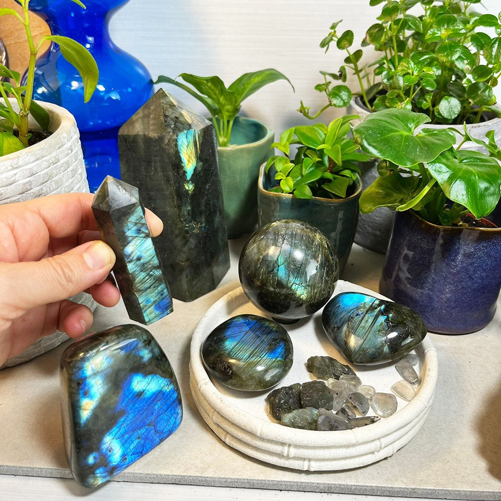 The labradorite kit set out among house plants: generator, point, freeform, sphere, palm stone, heart, rough stones and small flash stones, with one hand holding the point