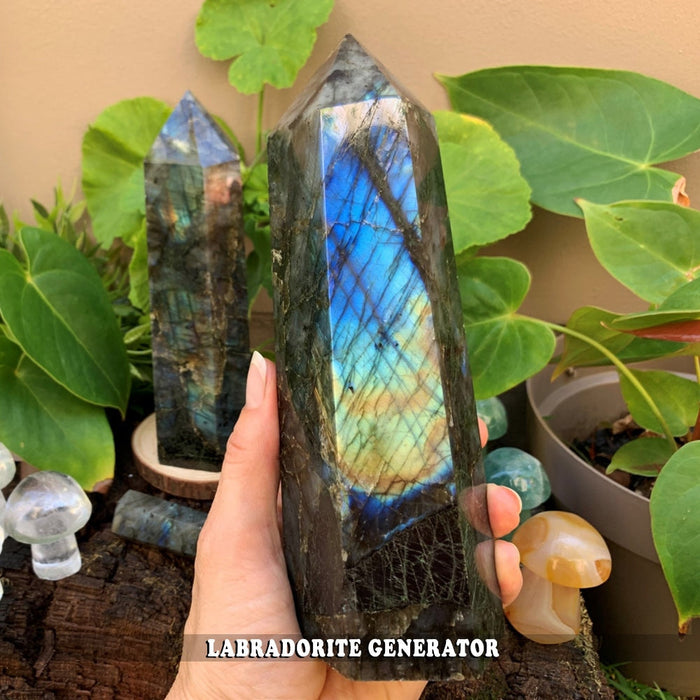 A tall labradorite generator held upright in one hand, flashing blue and gold, in front of green leaves