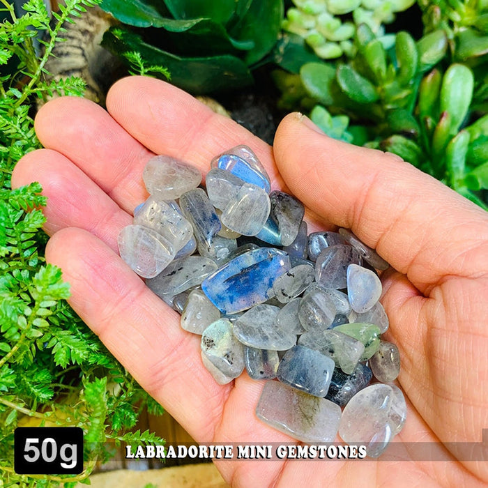 A palmful of small tumbled flash labradorite stones in pale gray and blue