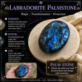 Labradorite Pálmasteinn