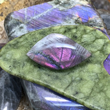 Crystal Allies Kit - 8 Powerful Specimens (SAVE 60% Bundle Deal)