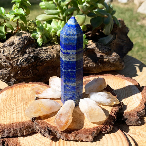 Σετ 8 τεμαχίων Lapis Lazuli + Citrine Shards