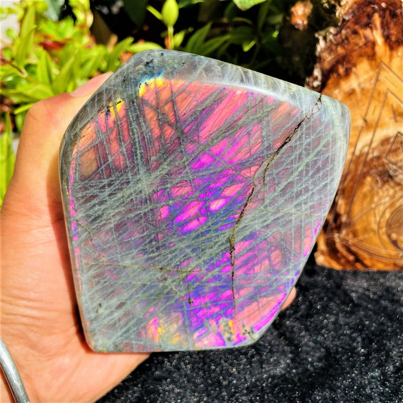 Large (1.67 lbs.) Purple Flash Labradorite Freeform (Item #1017)