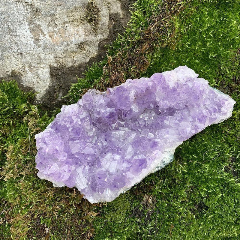 Large Specimen Amethyst Cluster - clustergeode