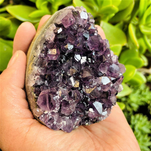 Amethyst Geode with Quartz Formation (Item #0019)