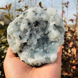 Larger Celestite Clusters (Item #0040)