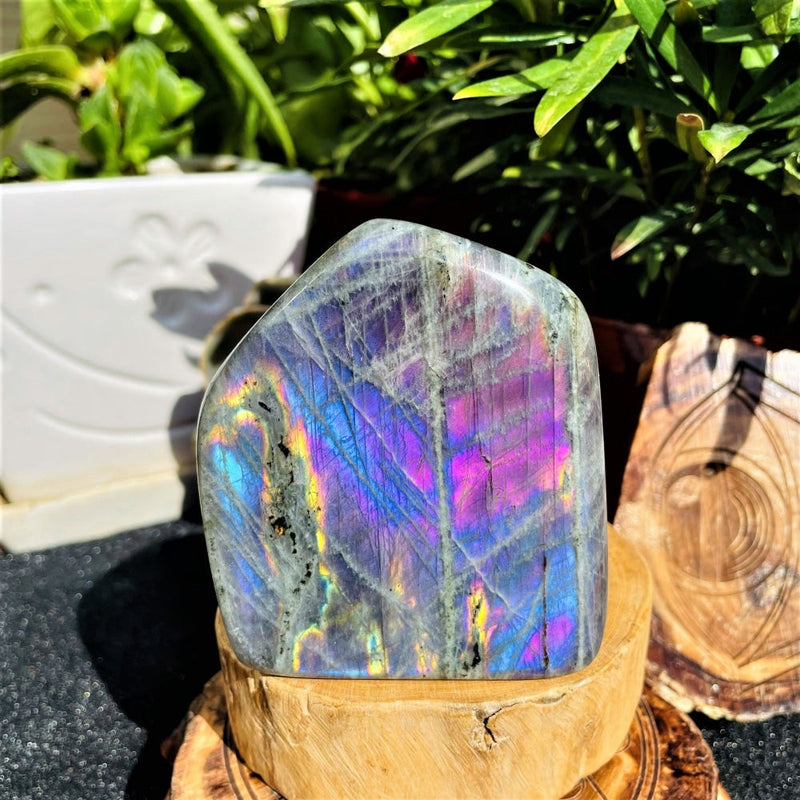 Copy of Large (2.42 lbs.) Purple Flash Labradorite Freeform (Item #0075)