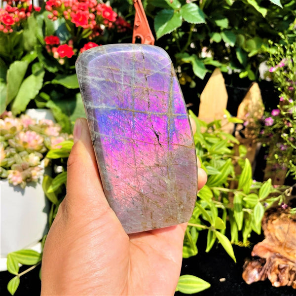 Purple Flash Labradorite Freeform (Item #0082)