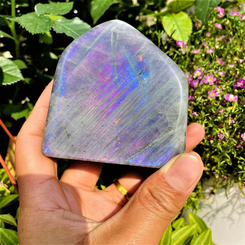 Large Purple Flash Labradorite Freeform (Item #0086)