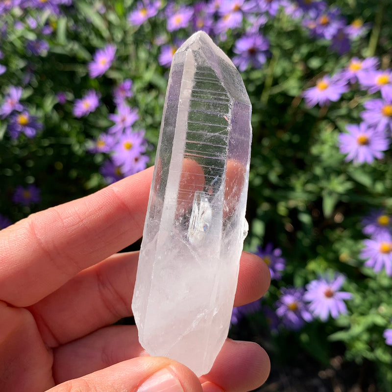 Lemurisk frökristall "Memory Quartz"