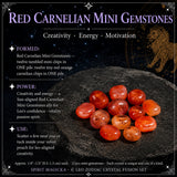 ♌ Leo - 23 Ιουλίου - 21 Αυγούστου - Zodiac Crystal Fusion Σετ με θήκη