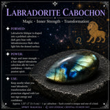 ♌ Leo - 23 Ιουλίου - 21 Αυγούστου - Zodiac Crystal Fusion Σετ με θήκη