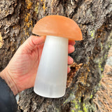 Crystal Mood Light (Selenite Mushroom Lamp)