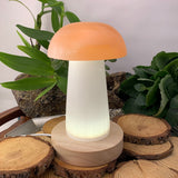 Crystal Mood Light (Selenite Mushroom Lamp)