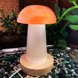 Crystal Mood Light (Selenite Mushroom Lamp)