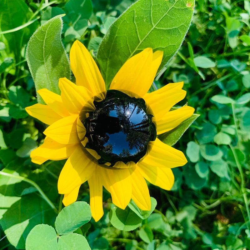 Obsidian Mini-Sphere - sphere