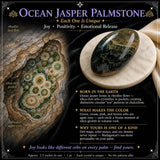60 % popusta Ocean Jasper Palmstone Palmstone Samo 1 dan