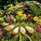 Z ARRON DESIGN Serenity Moonstone koppartråd hängande halsband