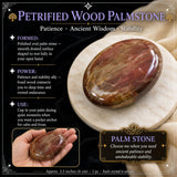 Okamenel les Palmstone