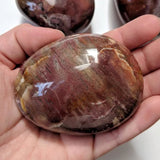 Petrified Wood Palmstone - palmstone