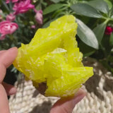 Natural Sulfur Crystal (150 grams)  (Item #1034)