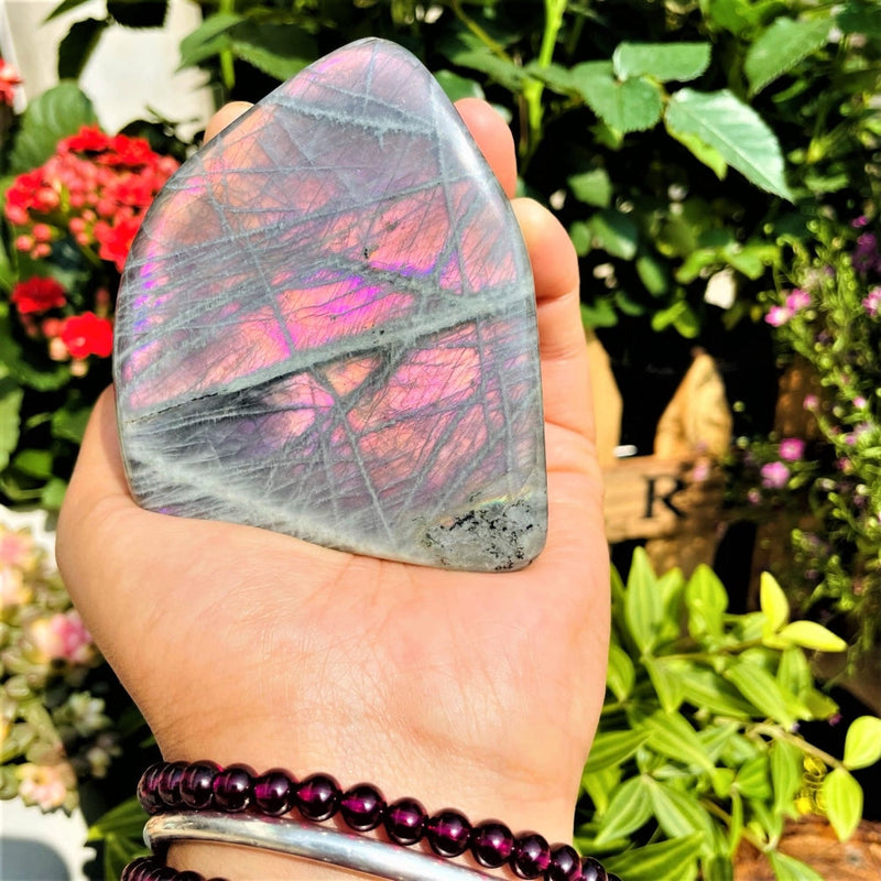 Large Purple Flash Labradorite Freeform (Item #0083)