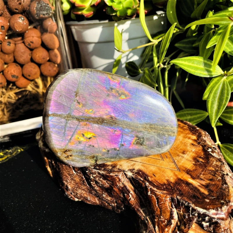 Large Purple Flash Labradorite Freeform (Item #0099)