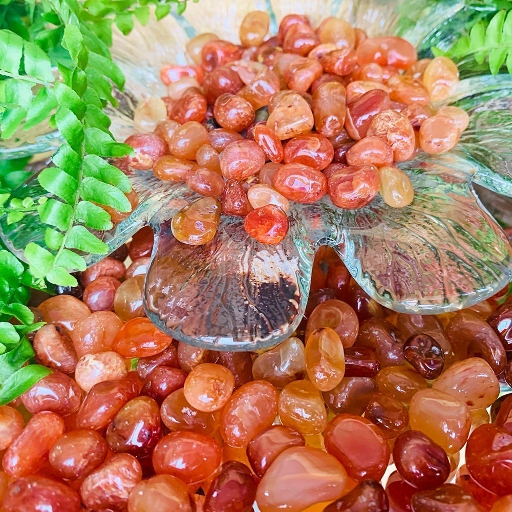 Carnelian mini gemstones filling and spilling around a clear glass flower dish
