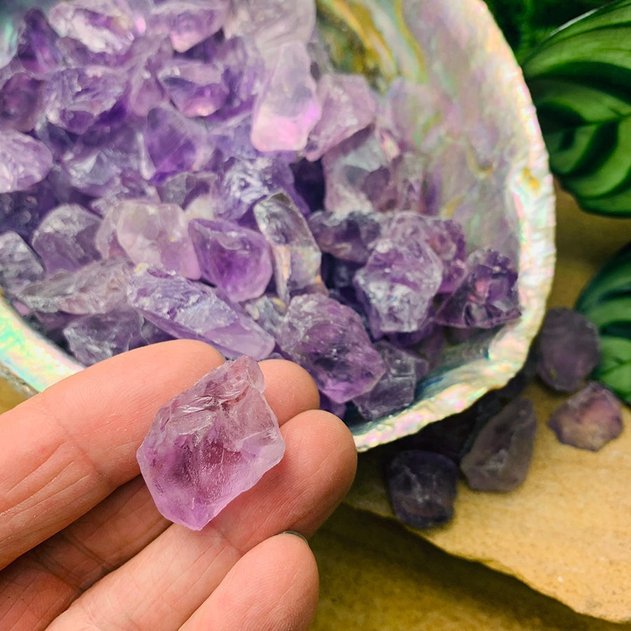 One rough lavender amethyst piece held between finger and thumb above an abalone shell full of amethyst pieces
